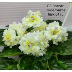 ЛЕ-Золото Нибелунгов (Лебецкая)